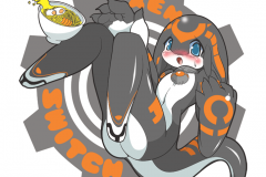 Switch_final